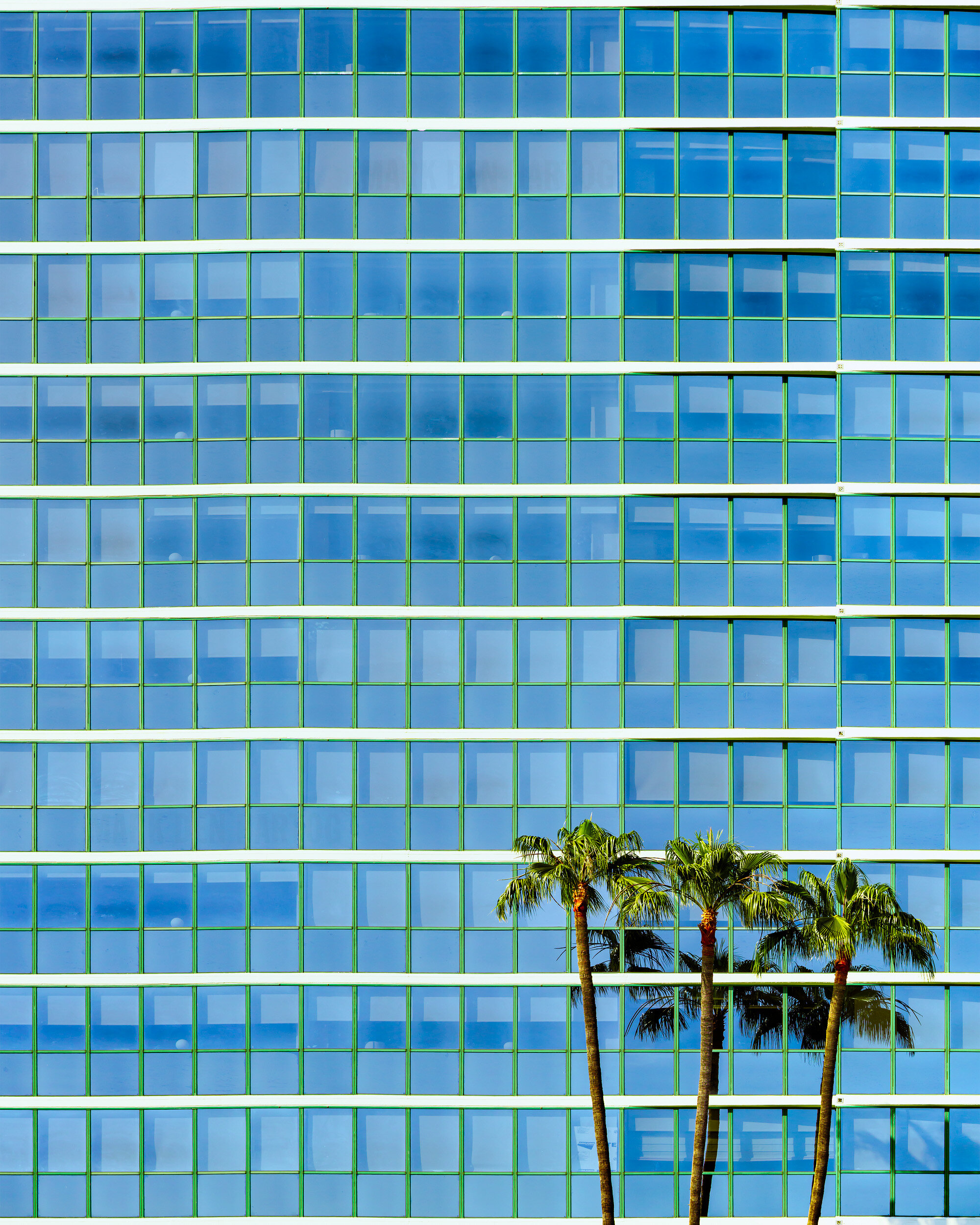Abstract architectural detail: A repetitive geometric glass facade of a high-rise building with blue windows and horizontal lines, contrasted by three palm trees standing in the lower right foreground — Long Beach.