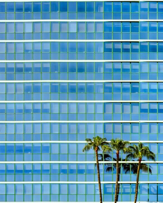 Abstract architectural detail: A repetitive geometric glass facade of a high-rise building with blue windows and horizontal lines, contrasted by three palm trees standing in the lower right foreground — Long Beach.